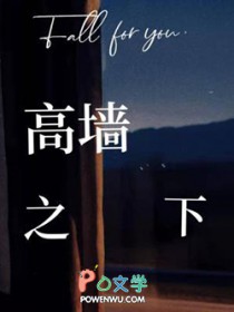 高墙边的混乱第一季完整版