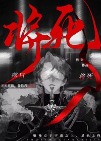 落日将军小说